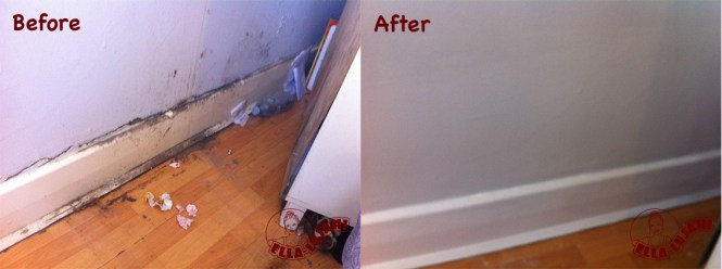 Ella-lujah! Skirting board repair and wall decoration.